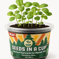 Seeds In A Cup - Plant Growing Kit-: Vegetable and Herb Growing Kit (Asparagus)