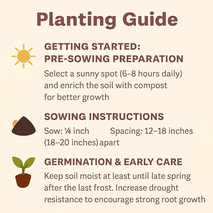 Hollyhock Seeds 3000+ Bulk Pack - Mixed-Color Perennial Blooms, Attracts Pollinators, Easy to Grow, Tall Garden Beauty - Perfect for Outdoor Landscaping, Backyard Shade, and Cottage Flower Gardens