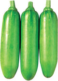 Squash Seeds - Korean, Summer - King Ka Ae - Hybrid - 1 Oz ~200 Seeds - Non-GMO, F1 Hybrid - Asian Garden Vegetable