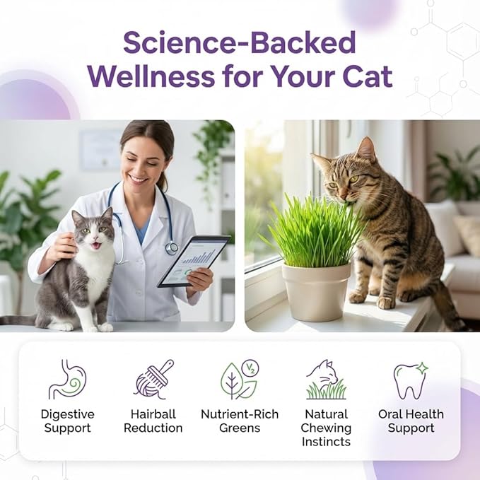 NatureZ Edge Premium Cat Grass Seeds for Indoor Cats, Non GMO - 1 lb Oat & Barley Grass for Indoor Cats, Cat Plant, Kitty Lawn, Pet Grass, Hierba para Gatos, Made in USA