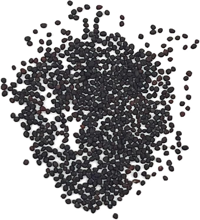 Organic Kohlrabi Seeds (Purple Vienna) - Approx 500 Seeds - USDA Organic, Non-GMO, Open Pollinated, Heirloom