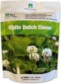 DLF White Dutch Clover Seed – White Clover Seeds for Grass Pastures Perennial Ground Cover Food Plots & Turf, Prevents Weeds & Erosion, Enhances Soil Fertility & Provides Potein For Livestock, 1 Pound