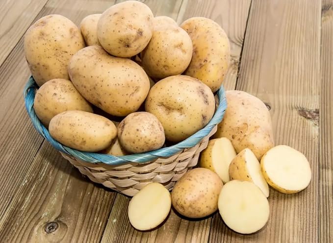 Yukon Potato Seeds for Planting Outdoors, 60 Seeds True Potato Seeds Easy for Growing from Seeds