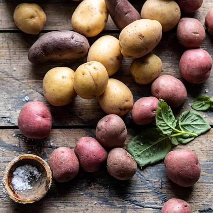 2 Lbs Mixed Potato Tubers High Yielding for Outdoor Planting,Vegetables Potatoes Plants Bulbs Seeds, Heirloom Seed Potato Live Tuber: Purple, Yellow, Red