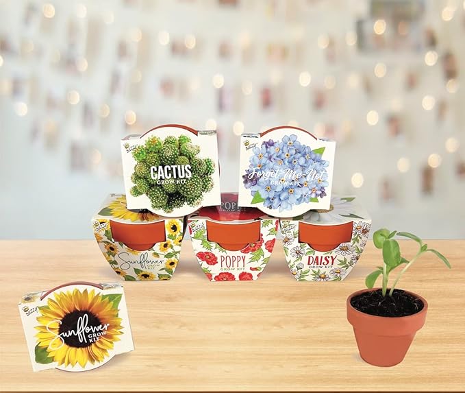 BUZZY Seeds Mini Terracotta Grow Pots Daydream Collection, Assorted 6-Pack Flower and Plant Seed Starter Kit, Indoor Gardening Gift, Holiday Present, Valentine Exchange