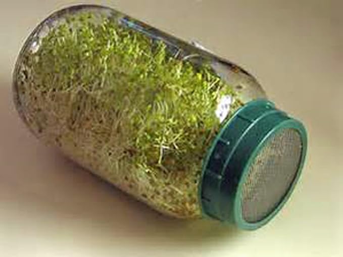 Alfalfa Sprouting Seed, NON GMO -8 Oz -Country Creek LLC Brand - High Sprout Germination- Edible Seeds, Gardening, Hydroponics, Growing Salad Sprouts, Planting, Food Storage & More
