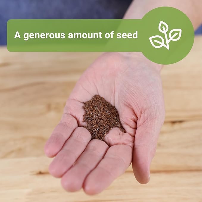 Sow Right Seeds - Bulk Alyssum Seeds for Planting - 2.5 Grams, 6200 Seeds - Non-GMO Heirloom Jumbo Pack with Instructions to Plant a Home Flower Garden - Grow Loads of Beautiful Bed Filling Flowers