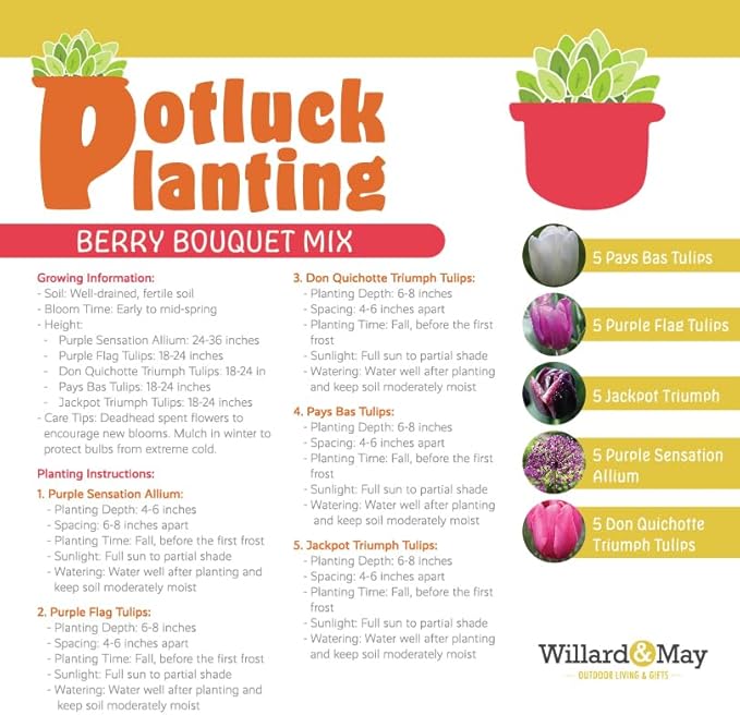All-in-One Flower Garden Kit - 25 Flower Bulbs Per Box - Potluck Planting Berry Bouquet Mix - Allium and Tulip Mix - Fragrant - Naturalizing - Live Outdoor Garden - Easy to Plant Flowers