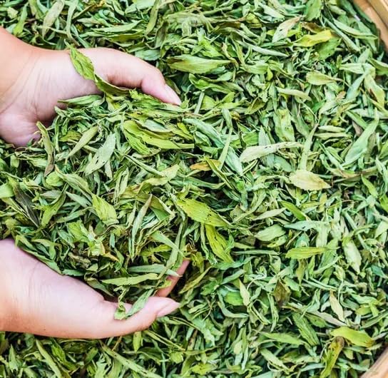 Sweet Herb Stevia Seeds Stevia Flores Seed Sweetleaf Plants for Planting Natural Stevia Sugar US Garden 100pcs