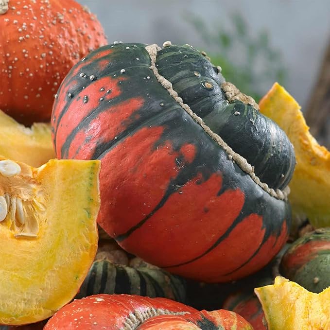 Turks Turban Gourd Garden Seeds - 1 Oz ~158 Seeds - Non-GMO, Heirloom Vegetable Gardening Seed - Cucurbita Maxima