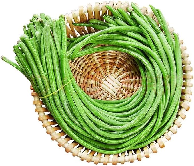 100+ Seeds Snake Oriental Yard Long Asparagus Pole Bean Seeds for Planting Red and Green Noodle Beans Heirloom Non-GMO Delicious Vegetable Seeds(50 Pcs for 2 Pack)