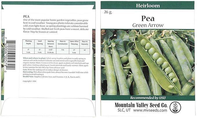 Green Arrow Pea Garden Seeds - 26 Gram Packet ~90 Seeds - Non-GMO, Heirloom Vegetable Gardening & Micro Pea Shoots Seeds