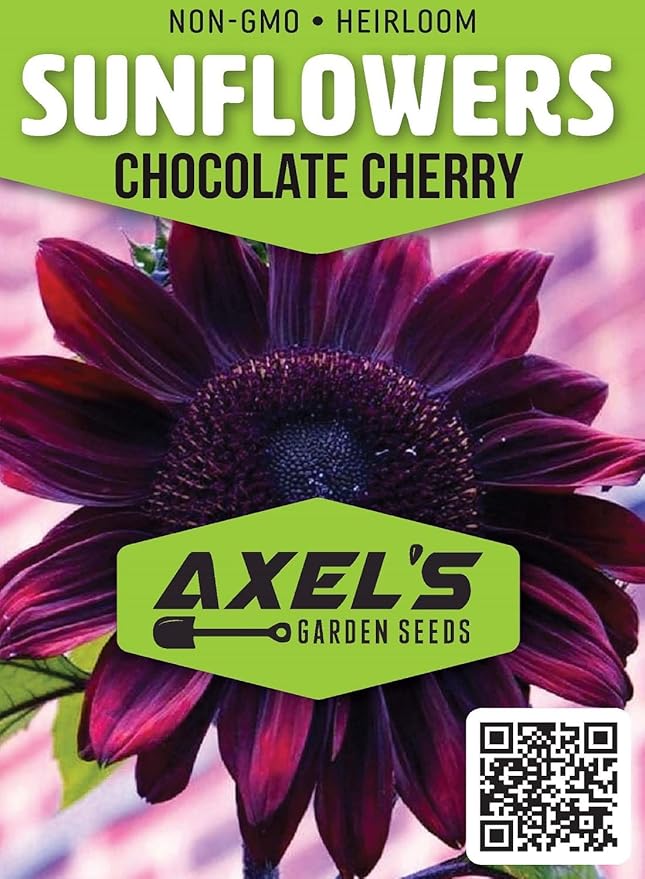 Sunflower Seeds for Planting – Plant & Grow Heirloom Chocolate Cherry Sunflowers in Home Outdoor Garden - Planting Instructions for Vibrant Blooms - Great Gardening Gift, 5 Packets