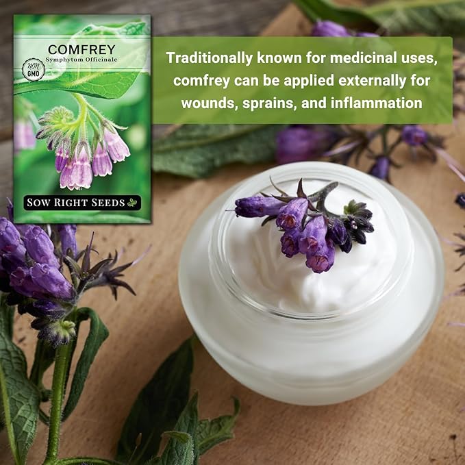 Sow Right Seeds - Comfrey Seeds for Planting - Non-GMO Heirloom Packet with Instructions to Plant an Outdoor or Indoor Herb Garden - Roots & Leaves for Home Remedies - Medicinal Salve, Oil, Tea (3)