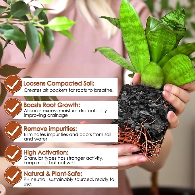 Horticultural Charcoal for Plants,1QT Premium Activated Charcoal for Indoor and Outdoor Plants,Ideal for Soil Amendment, Orchids,Succulent,Cactus, Terrariums & Gardening