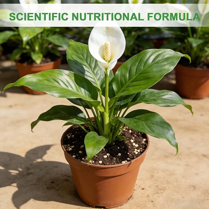 Premium Peace Lily Potting Soil 4qt– All Natural, Well-Draining & Breathable Soil for Peace Lily & Indoor Plants