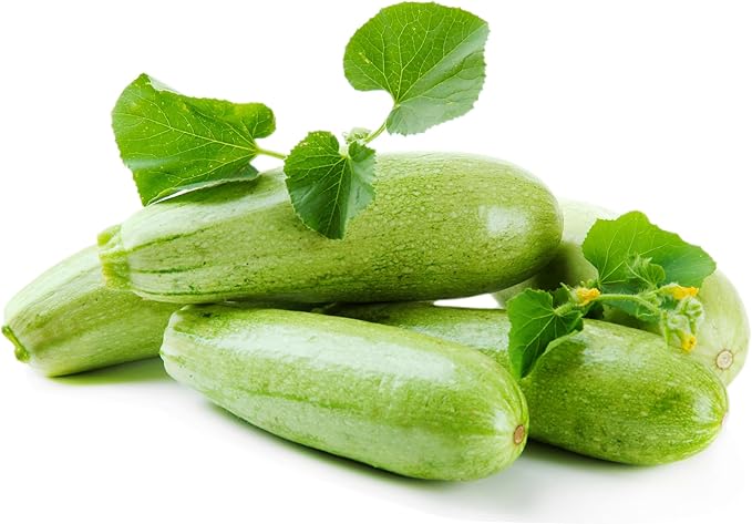 Italian Zucchini 4 Gram ~36 Seeds – Genovese Squash—Heirloom Non-GMO Cucurbita Pepo—Light Green Summer Squash—Easy-to-Grow Garden Seed—High Yield—50–60 Days—Open-Pollinated