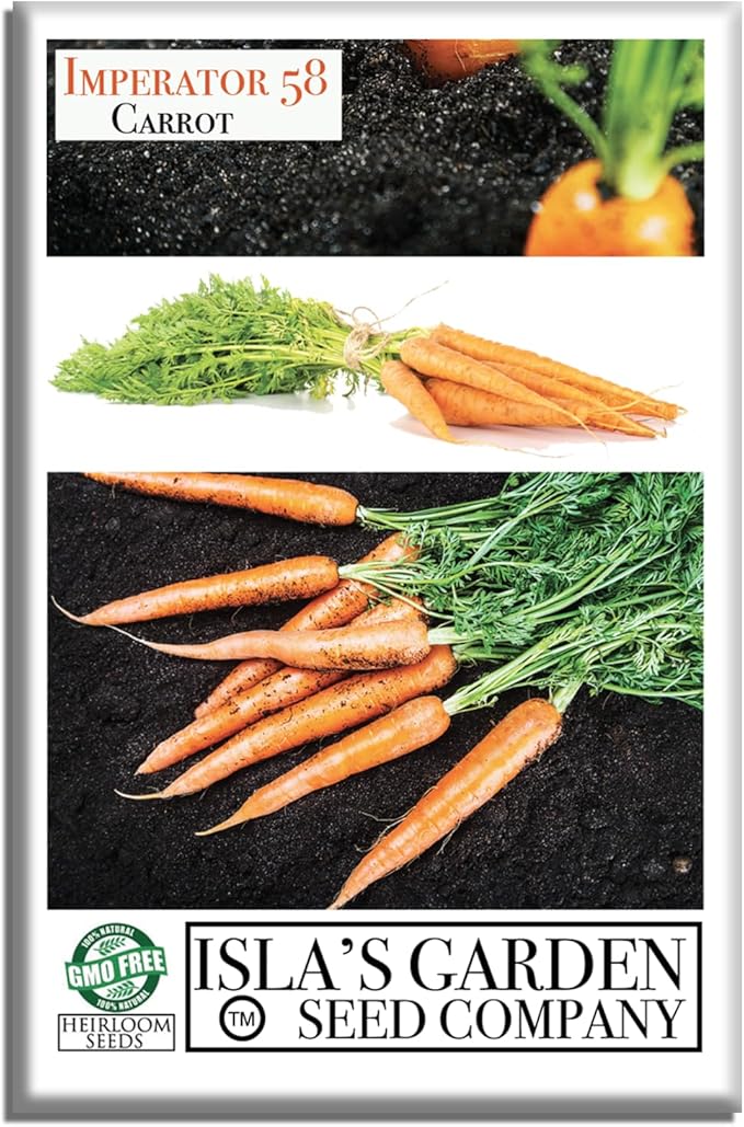 Imperator 58 Carrot Seeds (Daucus carota) – 500+ Non-GMO & Heirloom Seeds, Long and Sweet Carrots for Juicing, Fresh Eating, and Cooking, by Isla’s Garden Seeds, Great Gardening Gift