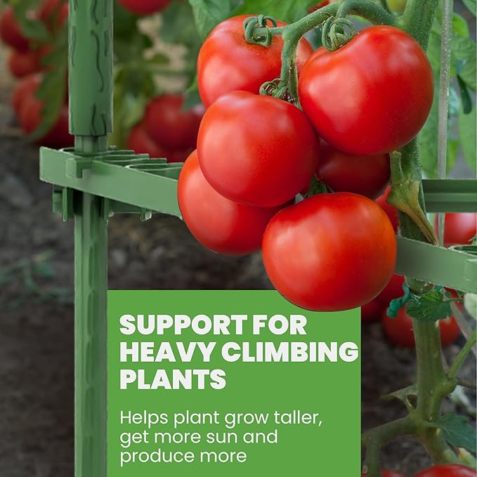 68" Tall Tomato Cage 3 Pack Trellis Stakes - Heavy Duty Plant Support Structures for Vegetables, Tomatoes & Climbing Plants