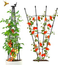 4Ft Garden Trellis for Climbing Plants Outdoor, 2Packs Trellis for Monstera Plants Indoor Large, Tower Obelisk & Fan-Shaped Plant Support Garden Trellis for Potted Flowers, Tomatoes, Vines