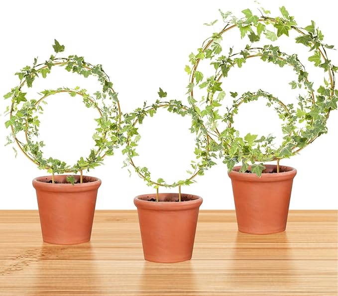 Hoya Trellis 3 Size Indoor Plants Flower Support Stakes Round or Heart Metal Trellis Set Garden Tool Accessories for Small Potted Vine Climbing Houseplants (GoldenC)