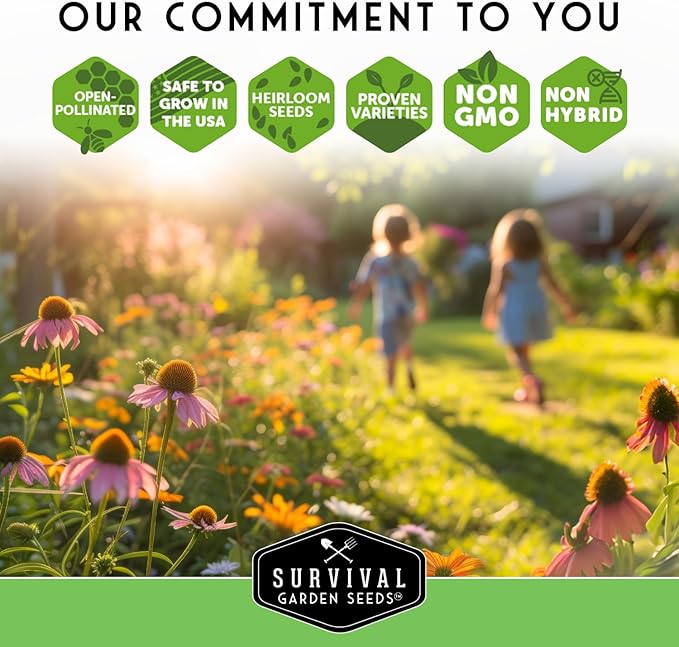 Alyssum Seeds for Planting - Sweet Royal Carpet Purple Alyssum - Fragrant Perennial Flower & Ground Cover - Heirloom Non-GMO - Survival Garden Seeds (1 Pack)