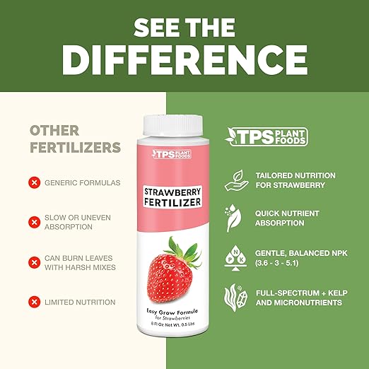 Strawberry Fertilizer for Fruit and Berry Gardens, Liquid Plant Food, 32 oz (1 Quart)