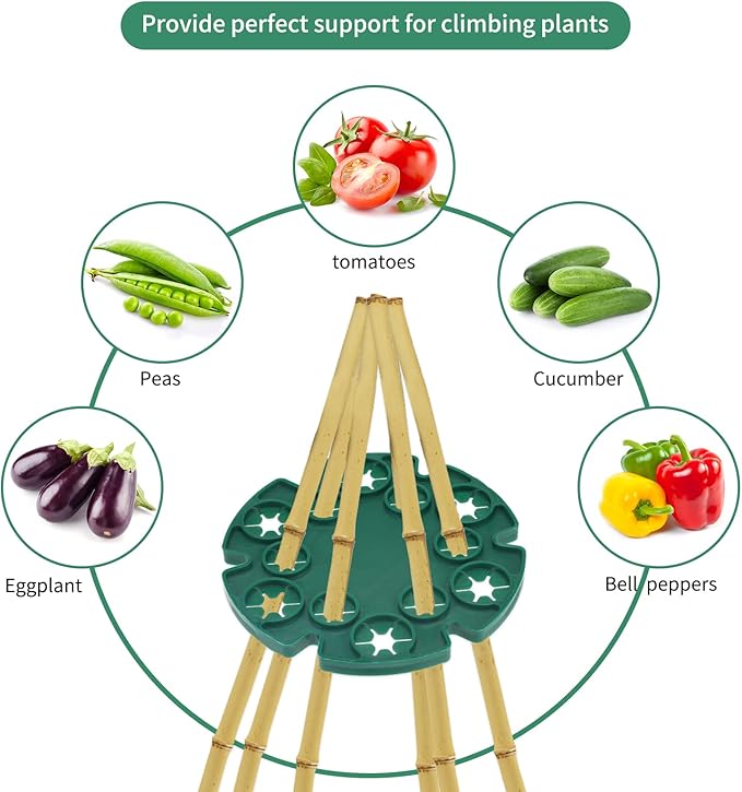 KINGLAKE 6 Pcs Bamboo Cane Holder Plastic Plant Cane Support Caps Holders for Climbing Plants Sweet Peas Beans Green