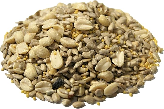 CountryMax Backyard Seeds No Waste Back Deck/Porch/Patio Bird Seed Blend (5 Pounds)