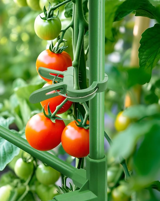 6 Pack Tomato Cage, Square Tomato Cages for Garden, Plant Trellis for Pots, Raised Garden Bed, Plant Support Stakes- 20 Clips Included
