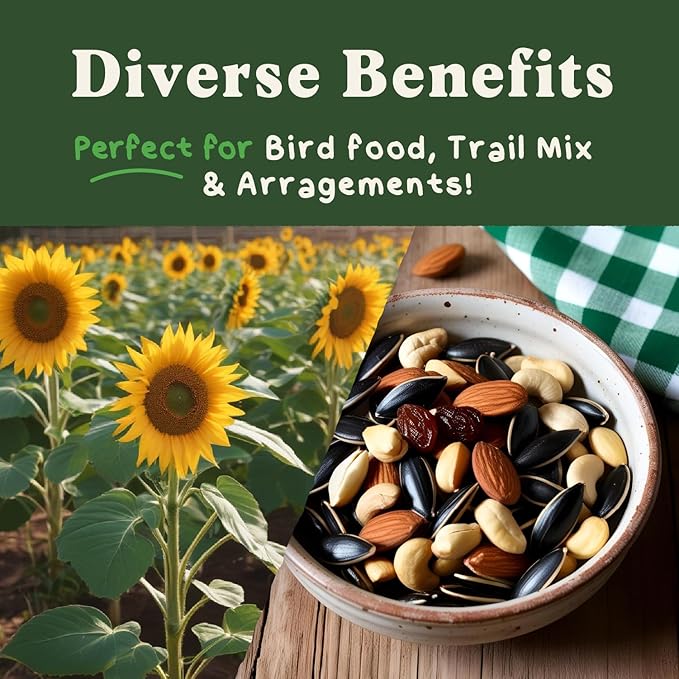 Seedboy Organic Giant Mammoth Grey Sunflower Seeds for Planting Indoor and Outdoor, Non-GMO and USDA Certified Flower Seed Packet for Hydroponic Garden Indoor or Planting Outdoor (Giant Sunflower)