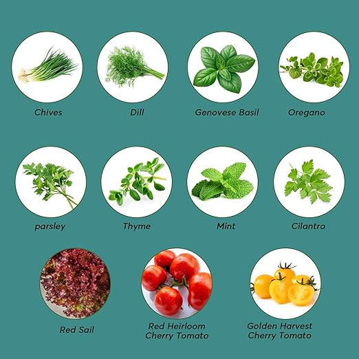 Hydroponic Nutrient Plant Food Supplies - MUFGA Suitable for Both Hydroponics Growing System and Soil Planting, Compatible with All Indoor Herb Garden Plants Accessories