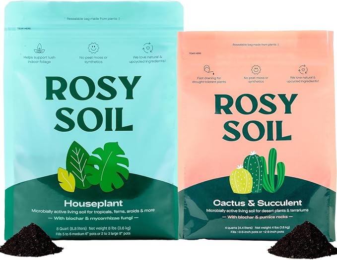 Rosy Soil Cactus and Succulent Potting Soil Mix (4 qts) + Indoor Potting Soil (8 qts) - Peat Free House Plant Soil - Potting Soil Mix for Indoor Plants