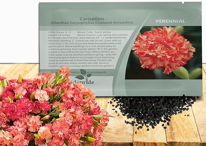 Outsidepride Avranchin Red Carnation Seeds - 1000 Pcs Perennial, Easy to Grow Flower Seeds for Planting with Fragrant Blooms, Ideal for Pollinators, Cutting Gardens, Bouquets, & Floral Arrangements