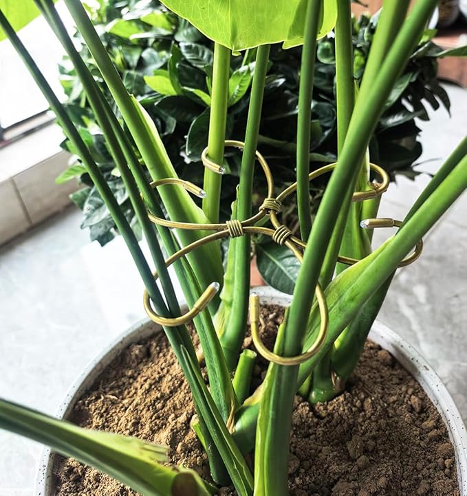 4PCS 6" Plant Stem Support,Stabilizer Grapple Holder for Monstera and Climbing Plants,Reusable Flower Plant Support,Leaf Stabilization and Support for Thriving Growth.