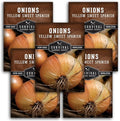 Yellow Sweet Spanish Onion Seeds for Planting – Large Mild Long Day Yellow Onions with High Yield & Sweet Flavor – Heirloom, Non-GMO, Open-Pollinated – Survival Garden Seeds (5 Packs)