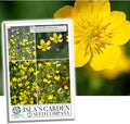 Western Buttercup Seeds (Ranunculus occidentalis) – 250+ Non-GMO & Heirloom Seeds by Isla’s Garden Seeds, Long-Blooming Field Flowers for Pollinator-Friendly Gardens, Great Gardening Gift
