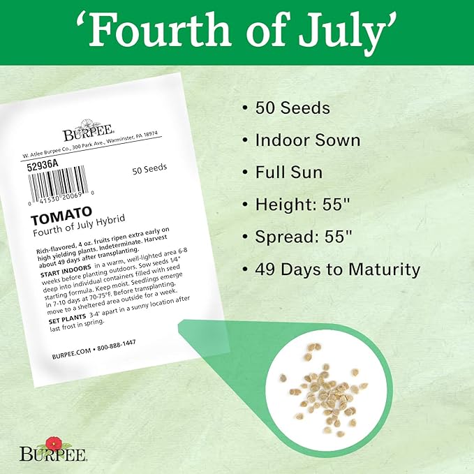 Burpee 'Fourth of July' Hybrid | Red Slicing Tomato | 50 Seeds
