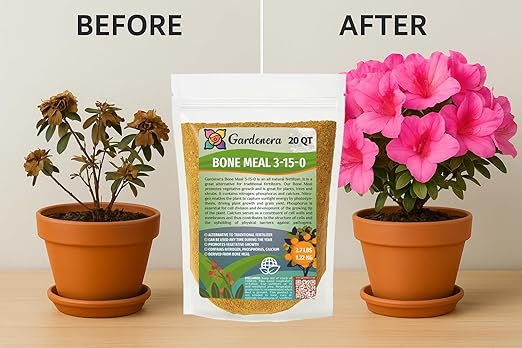 𝐁𝐄𝐒𝐓𝐒𝐄𝐋𝐋𝐄𝐑 Organic Bone Meal Fertilizer by Gardenera (4-12-0 NPK) All-Natural Plant Food Source of Nitrogen and Phosphorus for Bulbs, Gardens, Potted Plants, Trees, and Shrubs - 4 QUARTS