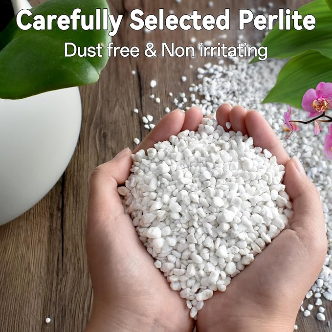 ZeeDix 6QT Organic Perlite Horticulture Soil Amendment for Plants, 3-9mm Granule Size Potted Plant Soil for Orchid Cactus Succulents Carnivorous Monstera Repotting, Indoor Outdoor Gardening