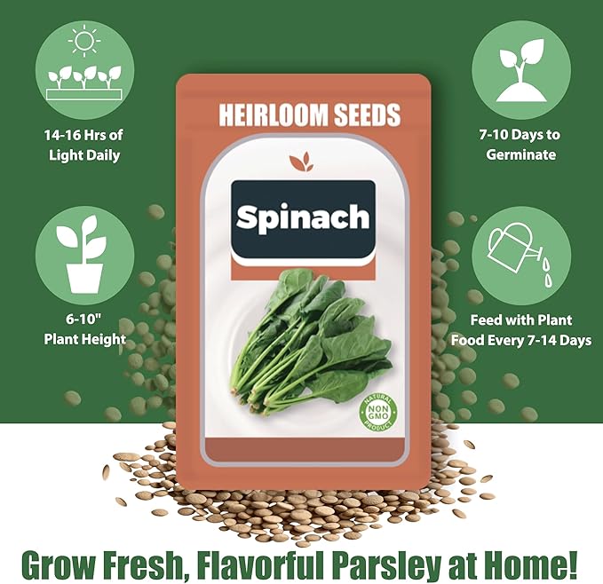 Spinach Seed Pods Kit for Hydroponic, 12 Pods Grow Anything Hydroponics Kit for Indoor Garden, Hydroponics Supplies with 12 Grow Sponges, 12 Plant Baskets, Spinach Seeds - 12 POD