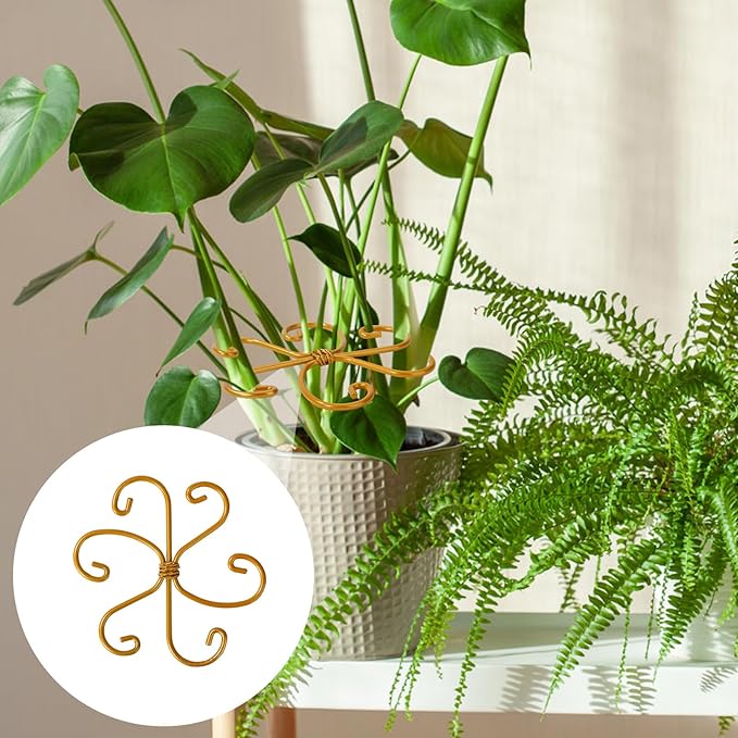BOXOB 9pcs Climbing Houseplant Stem Supports, Metal Plant Climbers Stem Holders Reusable Flower Plant Stakes Trellis Hook Growth Accessories for Indoor Outdoor Growing, 2 Designs