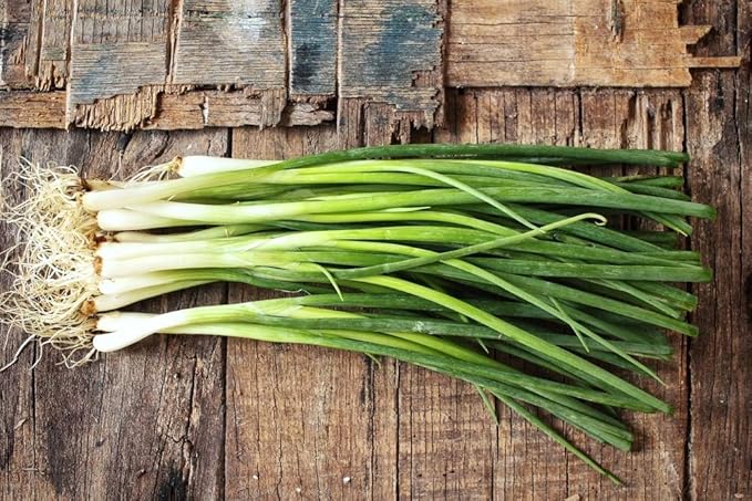 Seeds Bunching Green Onions Scallions 250+ Seeds for Planting Perennial Vegetable Garden Spring Onions Non-GMO