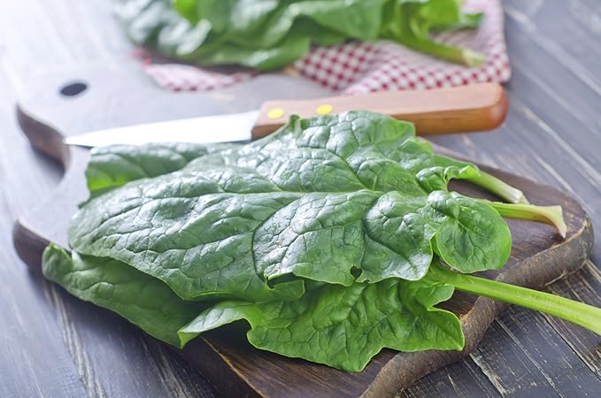 Seeds Vegetable Four Season Spinach Giant - 300 Seeds