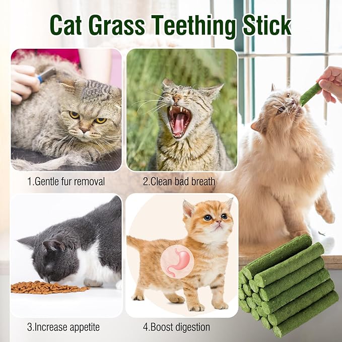 PawsGear 120g/4.23oz Cat Grass Teething Stick Hairballs,Chew Sticks for Cats,Catnip Toys Sticks Indoor Kitten Chew Stick (Green)