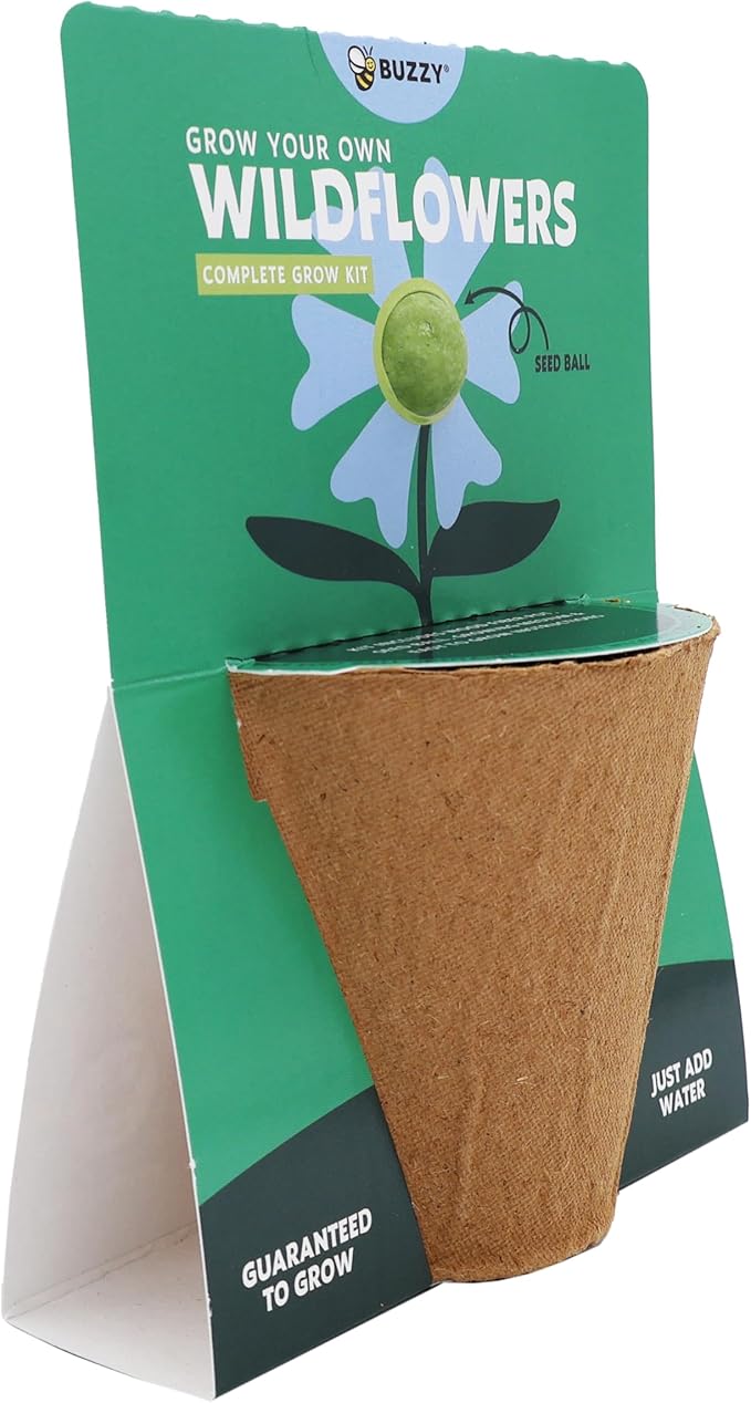 BUZZY Seeds Wildflower Seed Ball Cup 6-Pack – Over 50 Seeds Per Ball, Colorful Decorative Seed Balls in Biodegradable Cups with Growing Medium – Indoor Gardening Gift Set