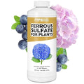 Ferrous Sulfate for Plants – Liquid Iron Supplement for Greener Leaves, Improved Chlorophyll Production & Reduced Yellowing, 32 oz