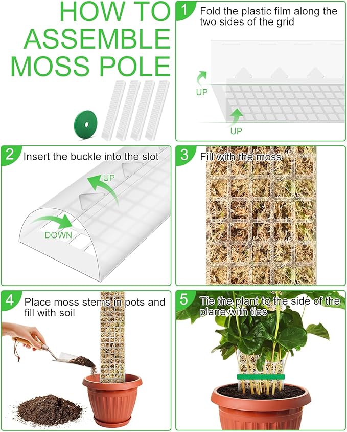 4 Pcs Large D Shaped Poles for Monstera, 24 Inch Plastic Moss Pole for Indoor Climbing Plants, Stackable Plant Support Kit Work with Sphagnum Moss