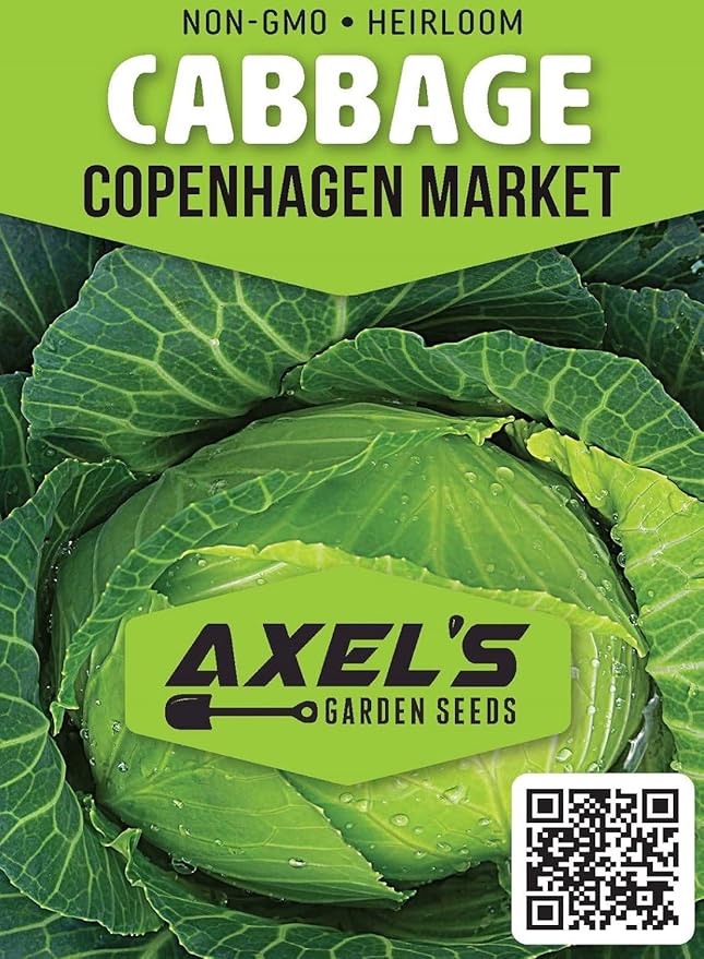 Cabbage Seeds for Planting – Non-GMO Heirloom Vegetable Seeds – Full Instruction Packets to Plant in Your Home Outdoor Garden – Gardening Gift – 200 Copenhagen Cabbage Seeds Per Pack (1 Packet)