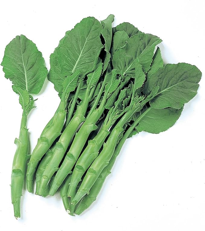 Broccoli Seeds - Chinese Broccoli - Kailaan - 4 Oz ~36000 Seeds - Non-GMO, Heirloom - Asian Garden Vegetable & Microgreens